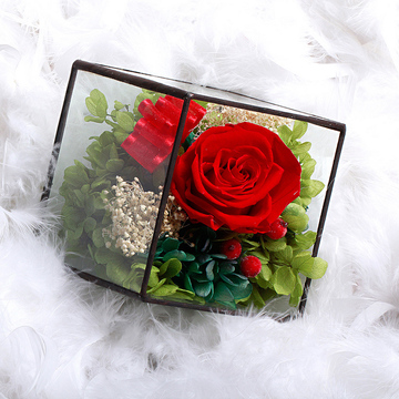 情人节方形玻璃罩永生花礼盒 永生花盒礼物 保鲜花礼盒 顺丰包邮