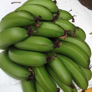 广西清湾香蕉青皮香蕉香芽蕉芭蕉粉蕉皇帝蕉奶蕉西贡蕉小米蕉包邮