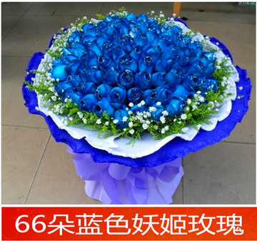66朵蓝玫瑰深圳蓝色妖姬玫瑰花鲜花速递南山龙岗福田罗湖龙华送花