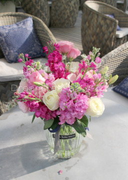 【梦美花屋】紫罗兰新品花瓶！可定制成花束！