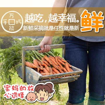 有机生态胡萝卜农家现拔 新鲜蔬菜特产新鲜胡萝卜沙拉必备小人参