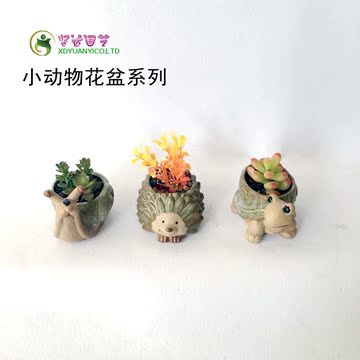 包邮多肉植物卡通可爱陶瓷花盆 创意个性刺猬蜗牛乌龟小动物花盆