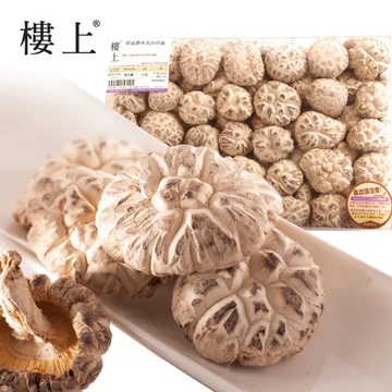 珍品原木天白花菇605克楼上香港代购香菇干货肉质爽滑