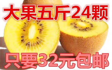 蒲江猕猴桃奇异果水果之王金艳黄心特价热卖24颗大果包邮32元5斤