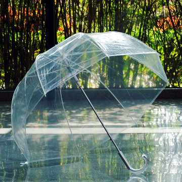 欧美系小清新泡泡伞 拱型阿波 罗透明伞 透明雨伞 抗风伞 长柄伞