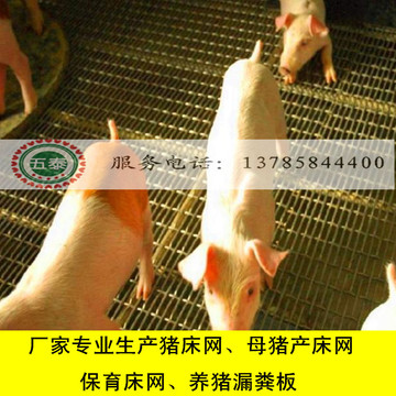养猪钢丝网养猪轧花网育肥网母猪产床网13785844400
