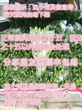 鲜花百合花团购上海昆明家庭用玫瑰全国1扎顺丰包邮康乃馨包月