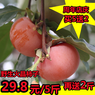 2016陕西临潼特产新鲜火晶软柿子甜柿饼野生脆柿子时令水果5斤包