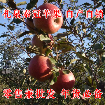 陕西礼泉秦冠苹果 原生态水果 75大红苹果 10斤特价包邮 馈赠佳品
