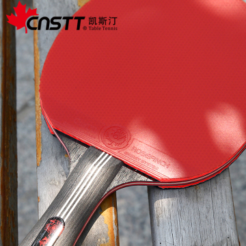 CnsTT凯斯汀 朱雀乒乓球成品拍 DIY手贴乒乓球拍双面反胶直拍横拍
