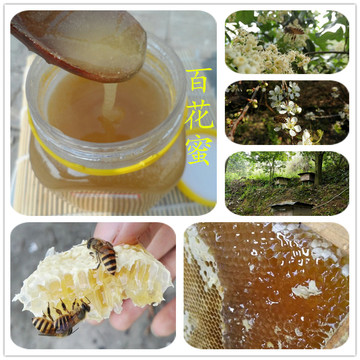 百花蜜深山中蜂百花成熟蜜纯天然农家自产土蜂蜜野生蜂蜜500g