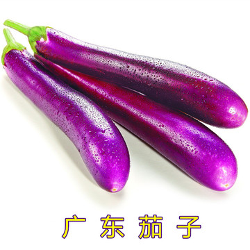 【京城菜篮子】新鲜蔬菜-养生菜-广东茄子 长茄子（500g）