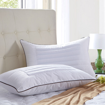 保健枕单人枕压缩枕枕芯枕头荞麦两用枕一对拍2