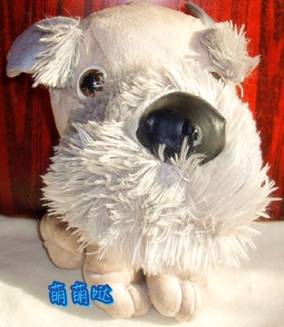 萌萌哒 可爱的浅灰色的大眼狗 美过容的雪纳瑞