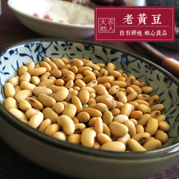 陕北农家自种黄豆非转基因杂粮纯天然有机的发豆芽打豆浆专用