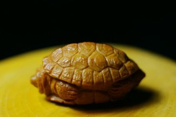 【塔图手工】独家定制富甲天下橄榄核雕乌龟