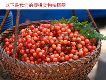 农家自产现摘 新鲜纯天然樱桃3斤99元包邮 拍下改价