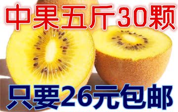 蒲江金艳猕猴桃奇异果水果之王特价热卖30颗中果包邮33元五斤左右