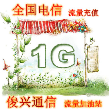 广东电信1G省内通用手机流量当月有效