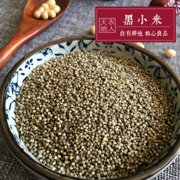 陕北农家自种黑小米400g 有机的五谷杂粮2015新米脂自产延安特产